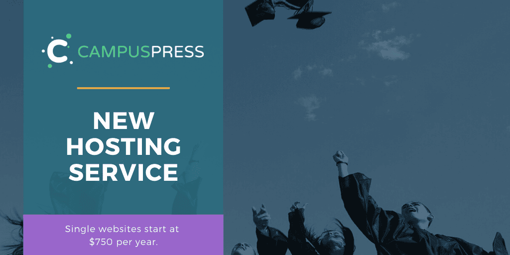 Header Image: New Hosting Service - Single websites start at $750 per year.