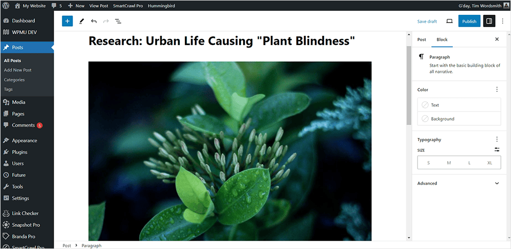 WordPress interface - Post creation.
